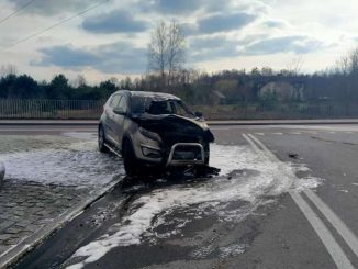 Samochód zapłonął na drodze w Świerczowie