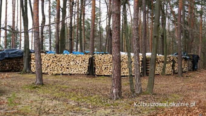 Masowo kupujemy drewno. Zaczyna brakować lasu