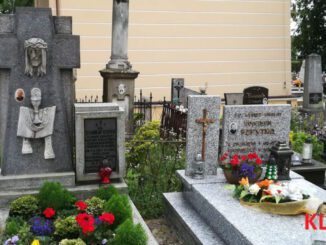 Powstał interaktywny plan cmentarza w Majdanie Królewskim. Znajdziesz tam informacje o każdym grobie - zdjęcie główne.