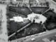 Kiedyś w centrum Kolbuszowej był skwer. Zobacz zdjęcia lotnicze z 1967 roku