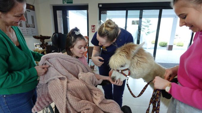 Alpaki pomagają Agnieszce Zapasek wrócić do życia po koszmarnym wypadku