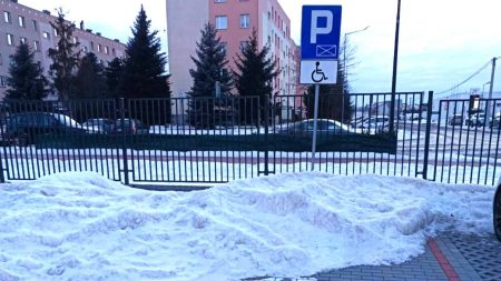 Tak w Kolbuszowej dba się o osoby niepełnosprawne. Skandal podczas Koncertu Karnawałowego