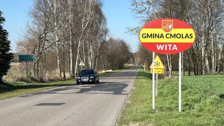 Tajemnicze zwierzęta między Cmolasem a Dąbrówką. Czy to muflony? Zobacz zdjęcia