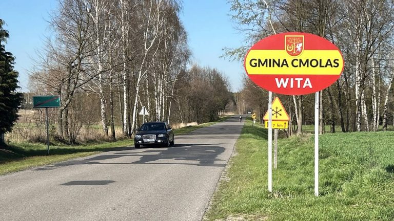 Tajemnicze zwierzęta między Cmolasem a Dąbrówką. Czy to muflony? Zobacz zdjęcia